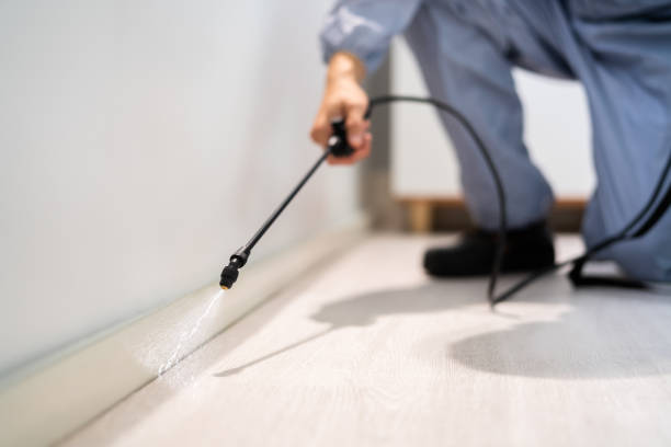 Licensed Pest Control service in Wakefield, MI - Show Me Pest Control