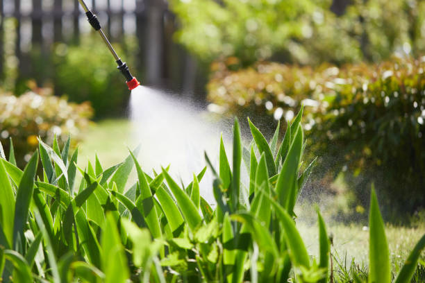 Tamper-Resistant Bait Stations for Rodents in Wakefield