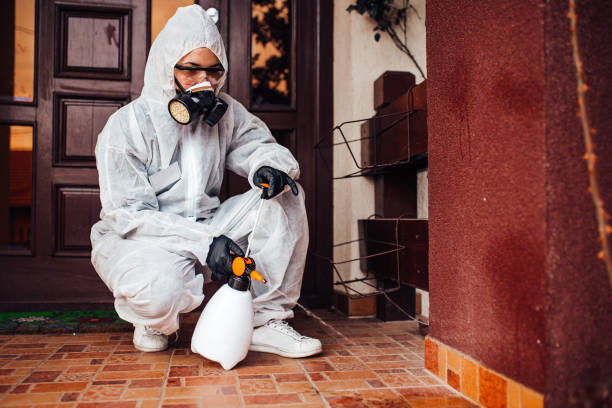 Attic and Crawl Space Rodent Treatment in Wakefield