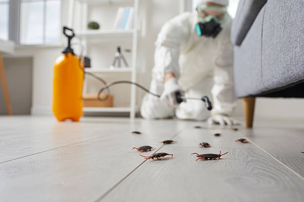 Commercial Rodent Management in Wakefield